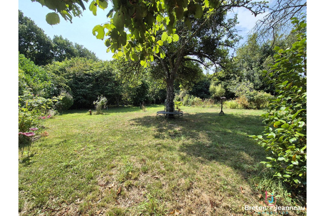 Maison de Campagne entre Bais et Mayenne
