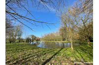 Terrain de loisir avec un étang à St Germain de Coulamer 53