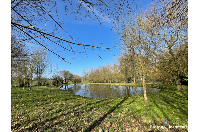 Terrain de loisir avec un étang à St Germain de Coulamer 53