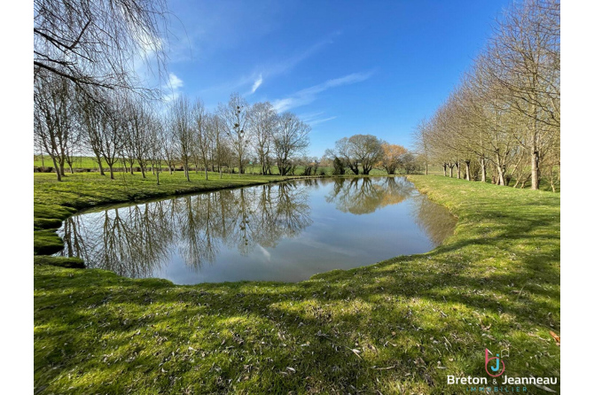 Terrain de loisir avec un étang à St Germain de Coulamer 53