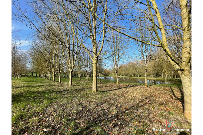 Terrain de loisir avec un étang à St Germain de Coulamer 53