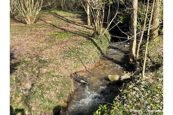 Terrain de loisir avec un étang à St Germain de Coulamer 53