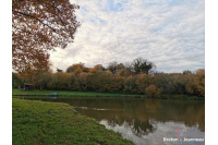 Etang - Carpodrome à Bais