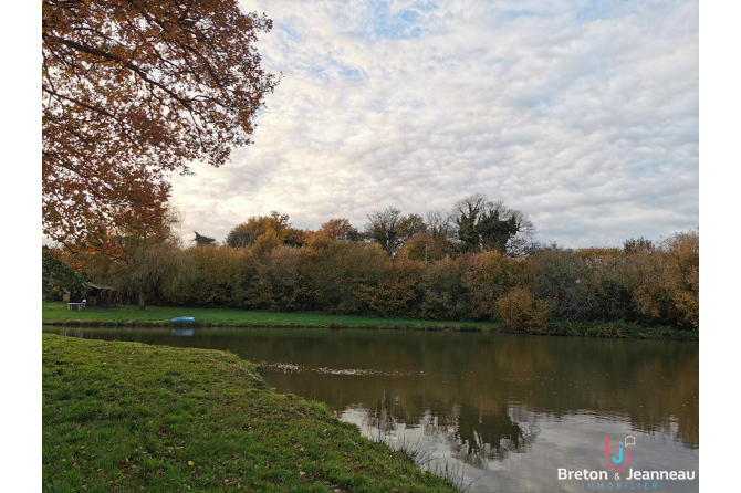 Etang - Carpodrome à Bais