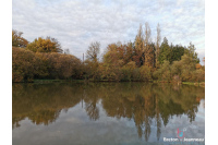 Etang - Carpodrome à Bais