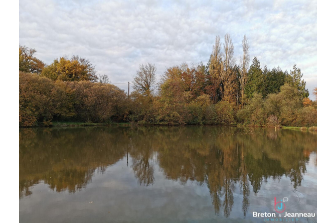 Etang - Carpodrome à Bais