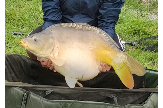 Etang - Carpodrome à Bais