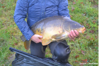 Etang - Carpodrome à Bais