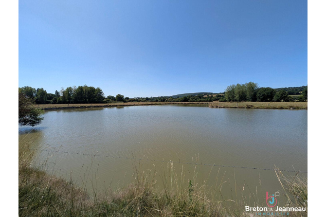 Maison en pierre avec étang sur 9 hectares à 5 min d'Évron