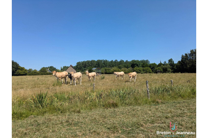Maison en pierre avec étang sur 9 hectares à 5 min d'Évron