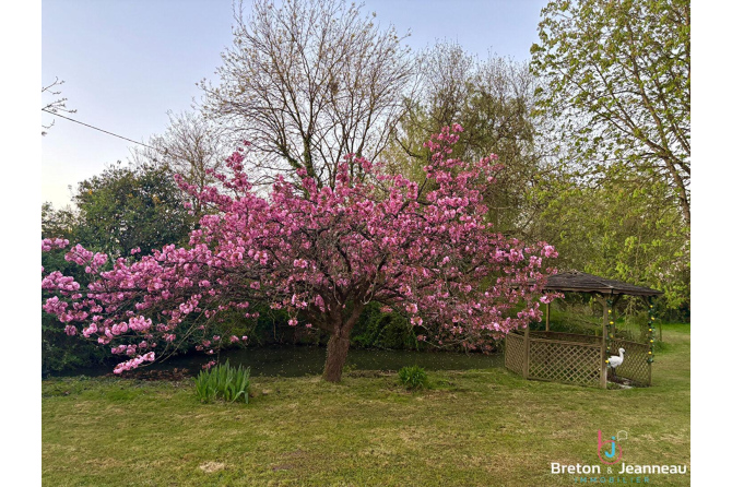 Longère en pierres rénovée à Argentré