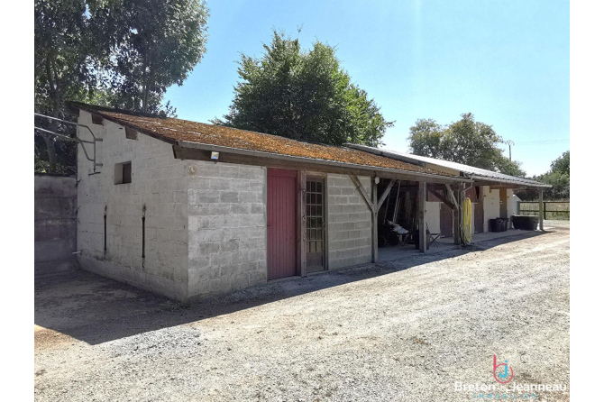 Propriété équestre sur 4 ha à Vimartin-sur-Orthe