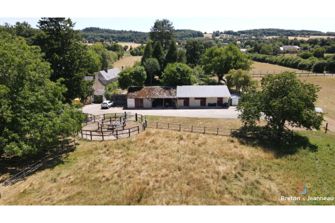 Propriété équestre sur 4 ha à Vimartin-sur-Orthe