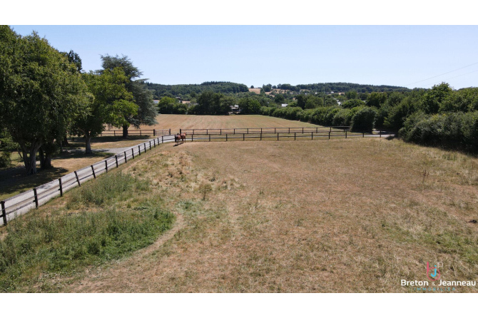 Propriété équestre sur 4 ha à Vimartin-sur-Orthe