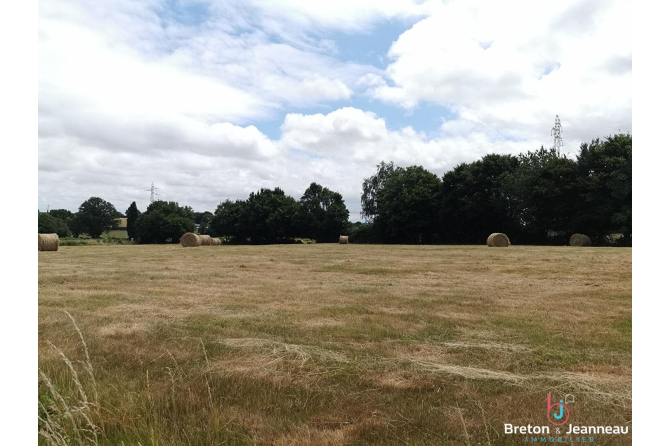 Ancien Corps de ferme sur 2 ha 42 à Villaines La Juhel