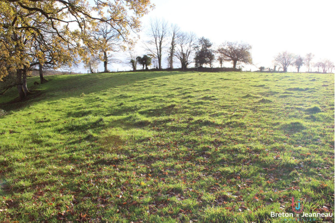 Corps de ferme sur 2 ha 52 à Ernée
