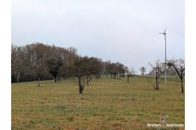 Corps de ferme sur 3 ha 39 secteur Vaiges