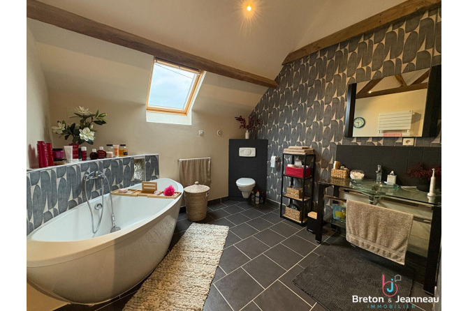 Superbe propriété sur 4.6 Hectares secteur Gorron