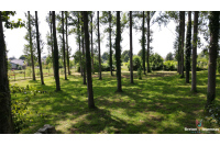 Contemporaine EXCEPTIONNELLE  de 249 m² à Louvigné du Désert