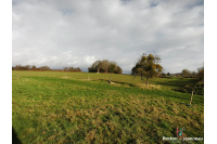 Corps de ferme sur 7 hectares à Saint Pierre des Nids