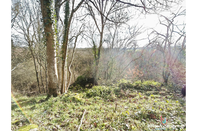 Corps de ferme sur 7 hectares à Saint Pierre des Nids