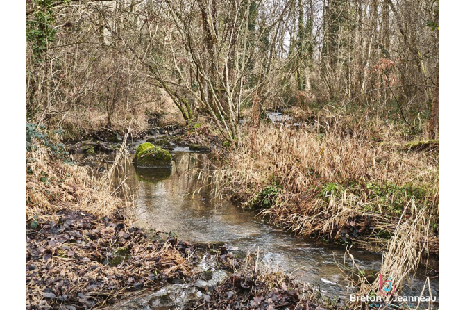 Corps de ferme sur 7 hectares à Saint Pierre des Nids
