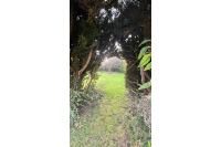 Terrain constructible à Saint Berthevin