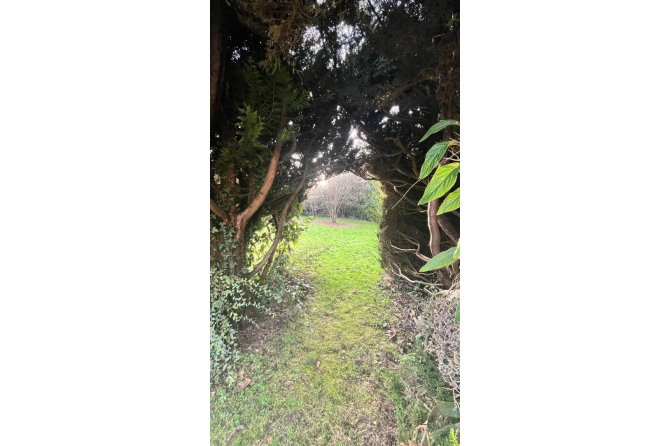 Terrain constructible à Saint Berthevin