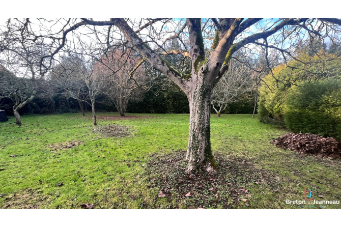 Terrain constructible à Saint Berthevin