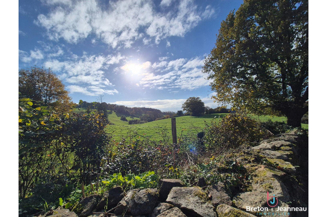Jolie Maison de Campagne Secteur Ambrières-les-Vallées