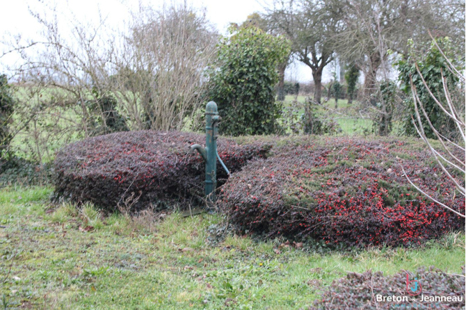 Maison en campagne à Juvigné