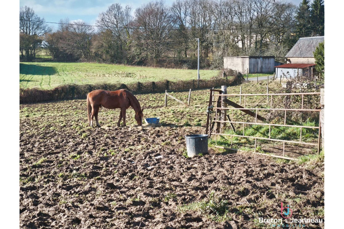 Propriété sur plus de 4 ha secteur Villaines la Juhel