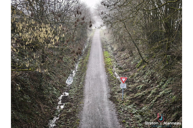 Propriété sur plus de 4 ha secteur Villaines la Juhel