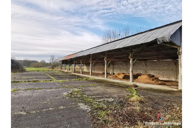 Ancien corps de ferme sur 4,2 ha de terres à Grazay