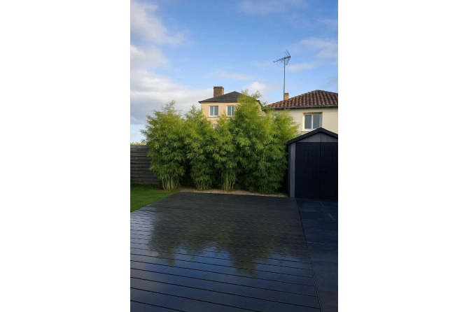 Charmante maison en pierre centre de Saint-Berthevin