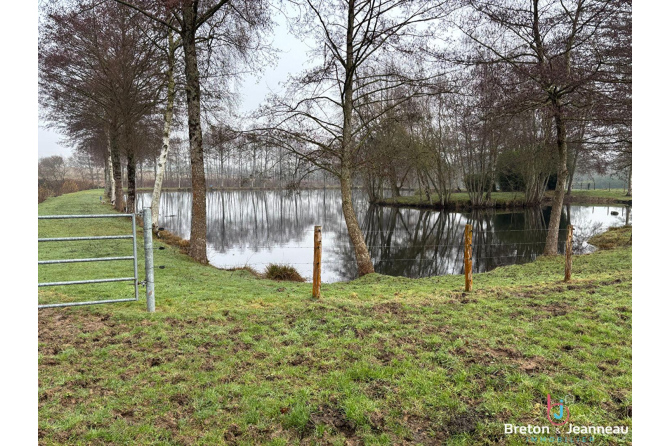 Terrain de loisirs de 2 ha 22 avec plan d'eau à Chalons du Maine
