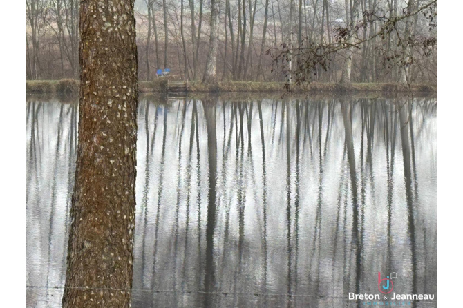 Terrain de loisirs de 2 ha 22 avec plan d'eau à Chalons du Maine