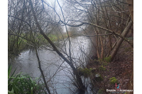 Terrain de loisirs avec deux étangs secteur Ernée