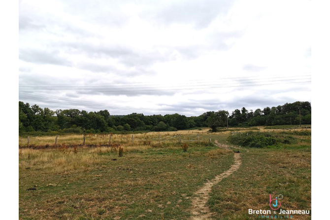 Fermette à rénover sur près de 10 ha à Vimartin sur Orthe