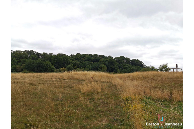 Fermette à rénover sur près de 10 ha à Vimartin sur Orthe