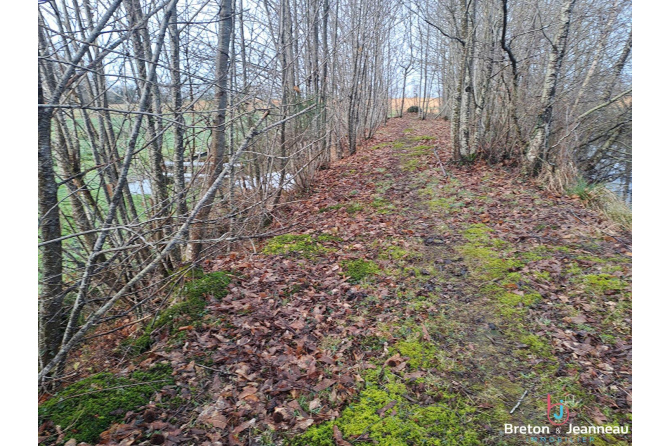 Plan d'eau de 2ha50, prairie et bois le tout sur 6ha environ à Juvigné