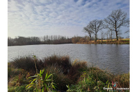 Plan d'eau de 2ha50, prairie et bois le tout sur 6ha environ à Juvigné