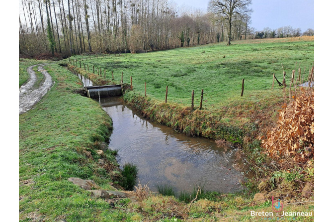 Plan d'eau de 2ha50, prairie et bois le tout sur 6ha environ à Juvigné