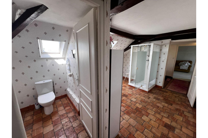 LAVAL CENTRE Rive Gauche maison de ville