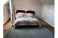 LAVAL CENTRE Rive Gauche maison de ville