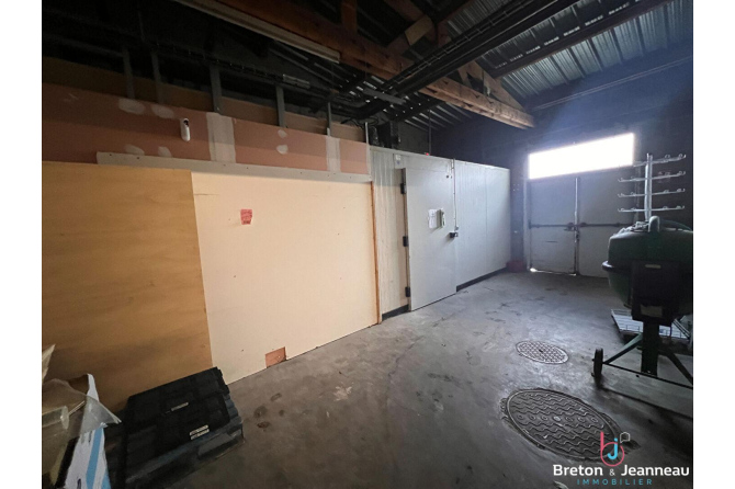 LOCAL COMMERCIAL 560 M²