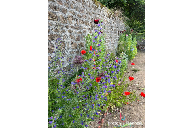 Superbe maison bourgeoise à Lassay les Châteaux