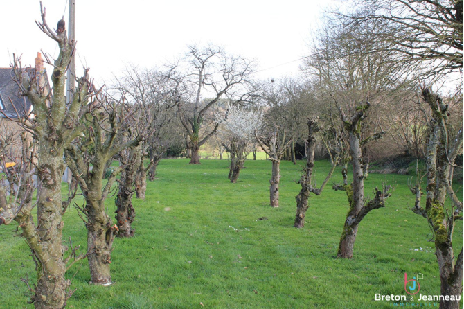 Maison 164 m² en campagne à Juvigné