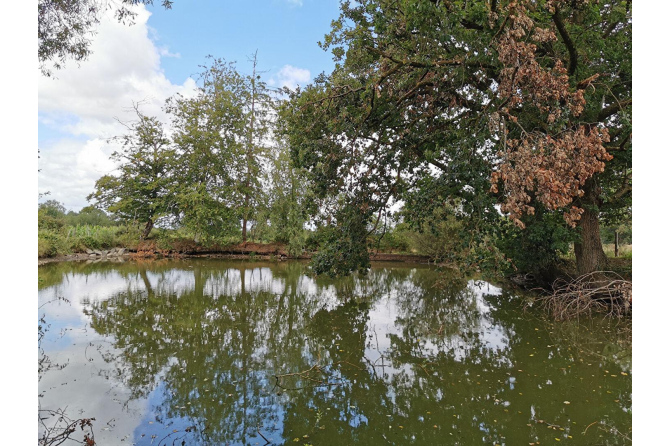 Fermette sur 2 ha 75 à Javron les Chapelles