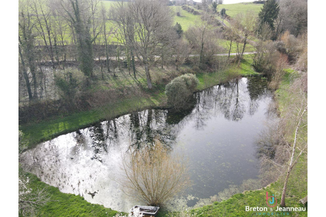 Propriété avec étang à Hambers